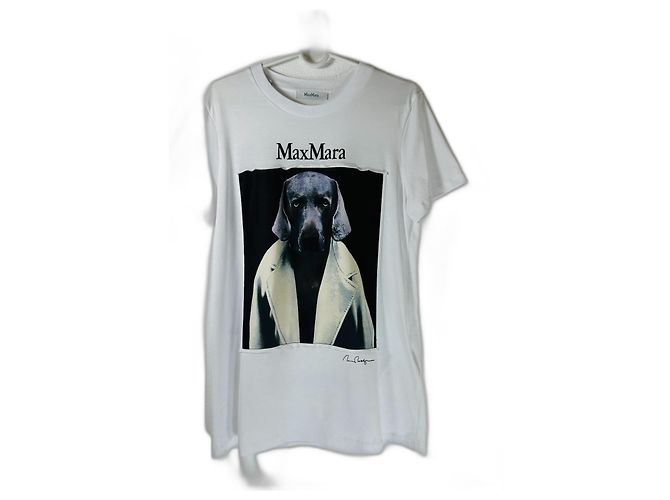 Camiseta Max Mara de jersey de algodón estampada Multicolor