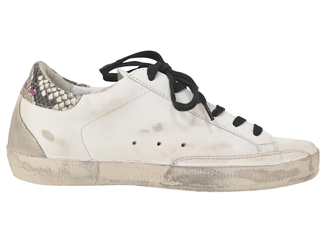 Golden Goose Superstar Low Top Sneakers in White Leather Cream Rubber  ref.1381381