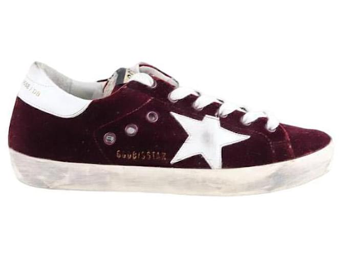 Golden Goose Sneaker superstar in velluto Bordò  ref.1388192