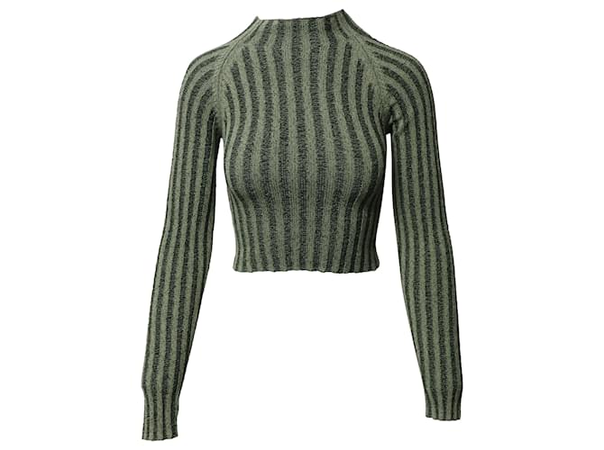 Autre Marque Dion Lee Natural Stripe Rib LS Top in Green Cotton  ref.1391246