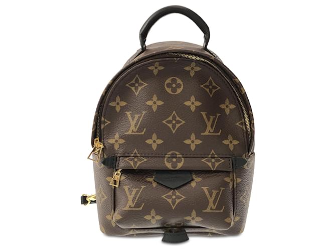 Brown Louis Vuitton Monogram Mini Palm Springs Backpack Leather  ref.1392273