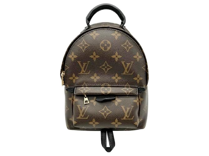 Louis Vuitton Palm Springs Braun Leinwand  ref.1395574