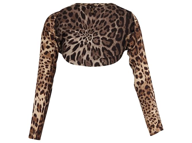 Dolce & Gabbana Bolero in Animal Print Silk Python print  ref.1403788