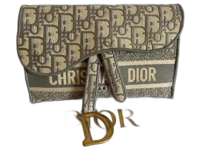 Dior Saddle belt pouch Grey Cotton  ref.1407871