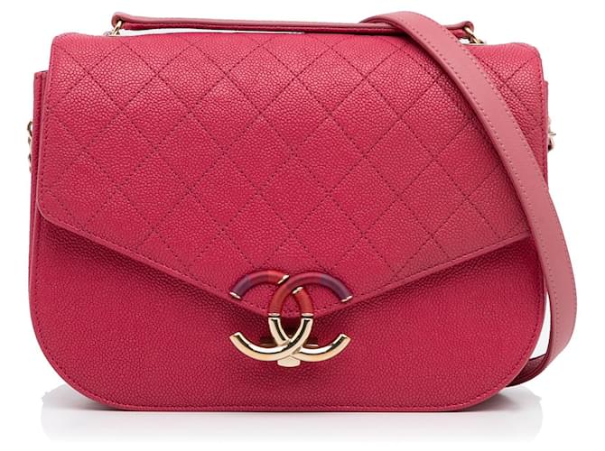 Pink Chanel Medium Calfskin Cuba Flap Satchel Leather  ref.1413174