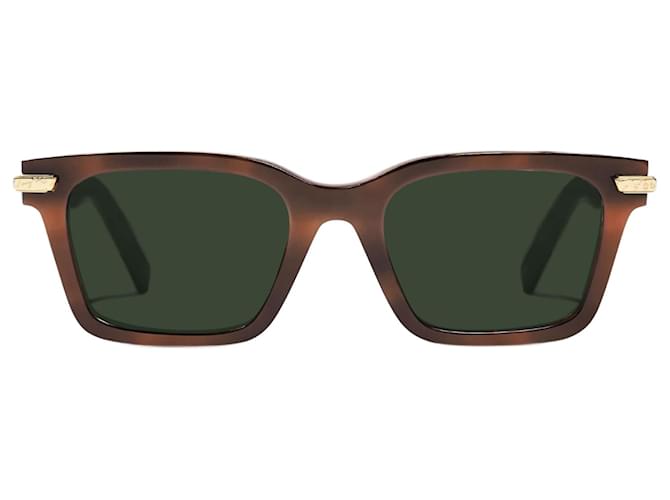 Berluti Radiant Acetate Sunglasses Brown  ref.1414130