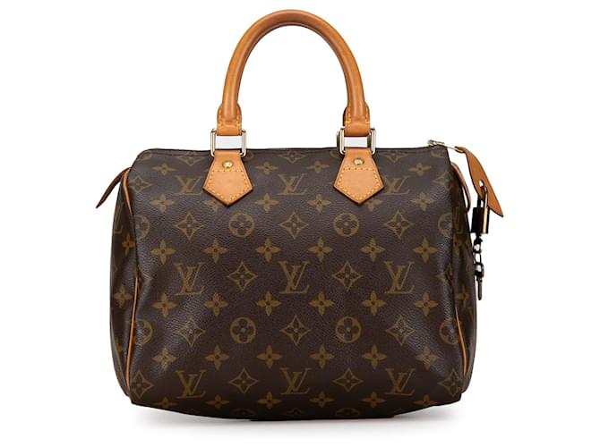 Brown Louis Vuitton Monogram Speedy 25 Boston Bag Leather  ref.1414401