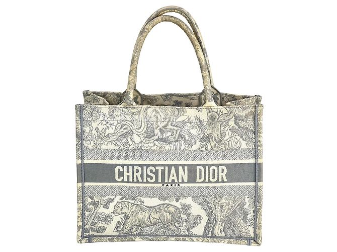 CHRISTIAN DIOR Medium Dior Book Graue Bestickte Tasche Weiß