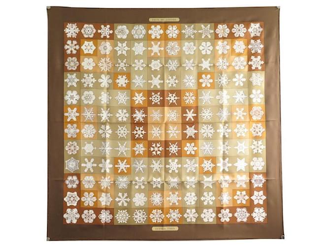 Hermès NINE HERMES SCARVES WINTER FIRES VAUZELLES SQUARE 90 SILK BOX SCARF Brown  ref.1429090