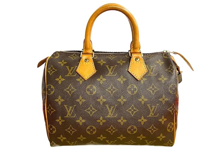 Louis Vuitton Speedy 25 Canvas Handbag M41528 in Very Good Condition Brown Cloth  ref.1438183