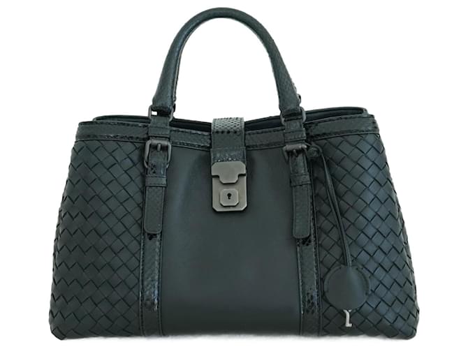 Bottega Veneta Sacs à main Cuir Cuirs exotiques Noir  ref.1441607