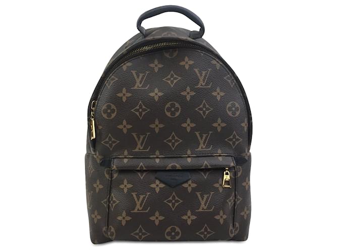 Brown Louis Vuitton Monogram Palm Springs PM Backpack Leather  ref.1443657