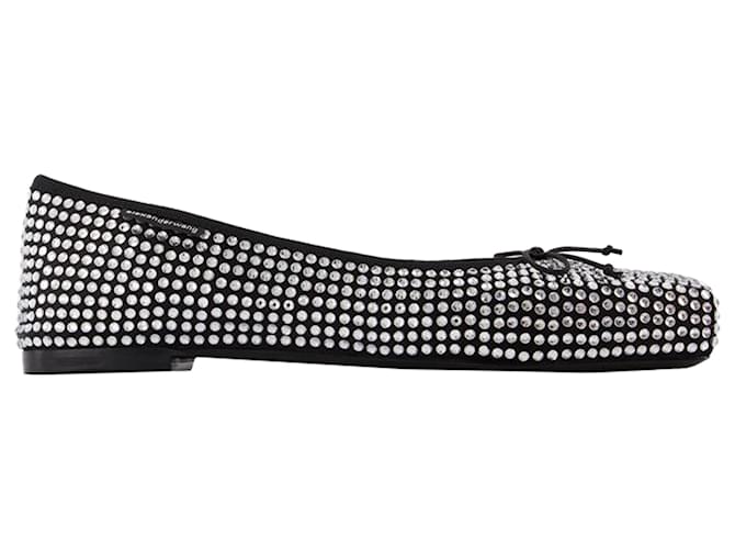 Autre Marque Billie Ballerinas - Alexander Wang - Leather - Black Lambskin  ref.1445336