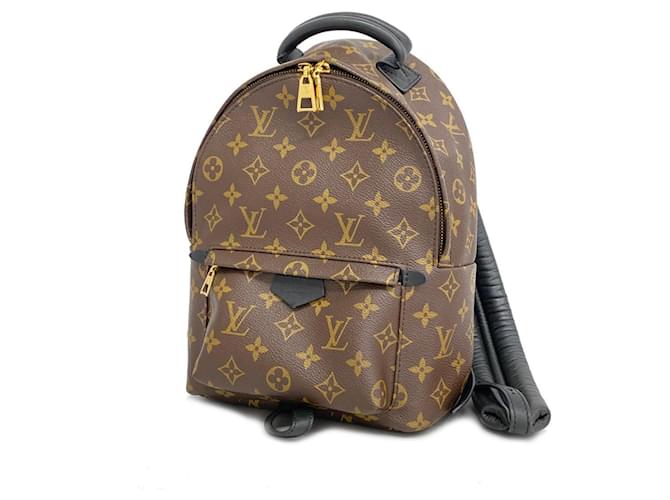 Louis Vuitton Monogram Palm Springs PM Backpack Brown  ref.1459274