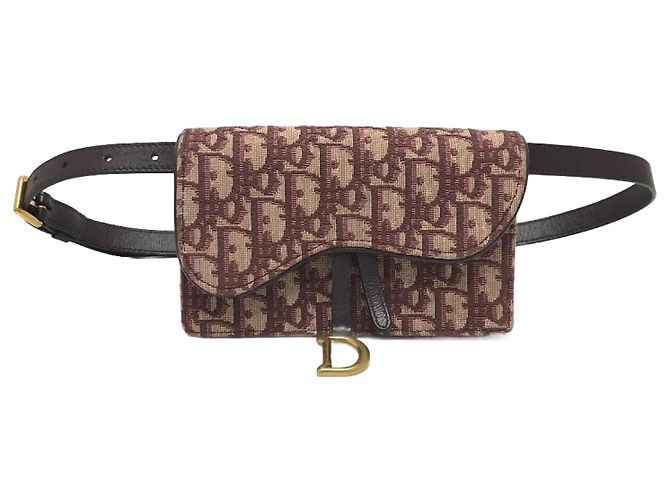 Pochette taille Christian Dior Trotter