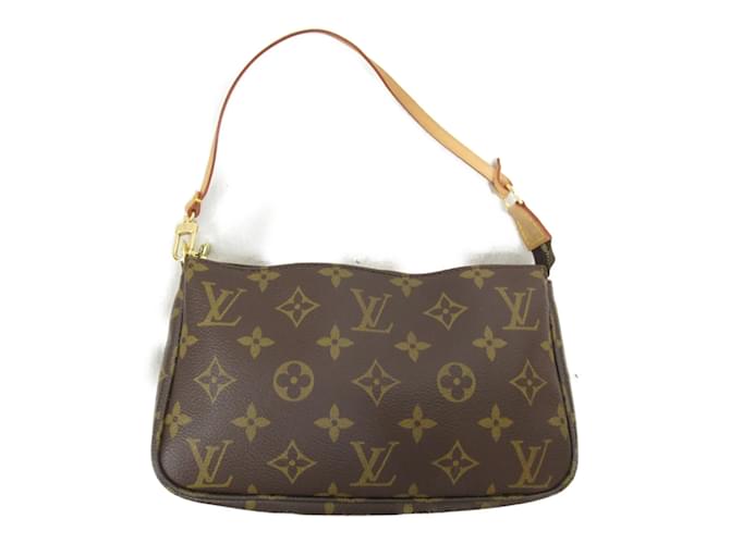 Louis Vuitton Pochette Accessoires Pouch Brown  ref.1468487