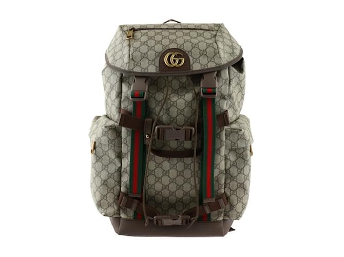 Gucci Skateboard Backpack GG Marmont Brown Beige Leather Cloth  ref.1503977