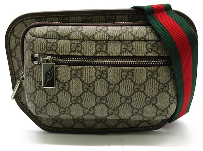 Gucci Beige and Brown Leather Fanny Pack Cloth  ref.1525188