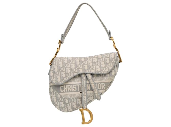 Saddle DIOR HandbagsCloth Grey  ref.1533551