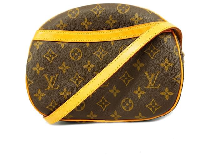 Sac à épaule Monogram Blois de Louis Vuitton Marron  ref.1533739