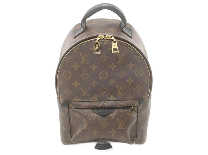 Louis Vuitton Palm Springs Backpack PM Brown Black Leather Cloth  ref.1536300