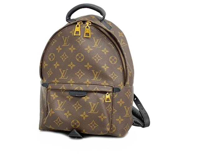 Mochila Palm Springs PM Monograma Louis Vuitton Marrom Preto  ref.1536515