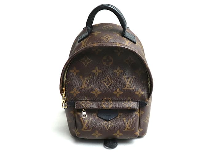 Louis Vuitton Palm Springs Brown Cloth  ref.1548954