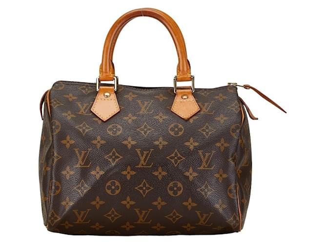 Louis Vuitton Speedy 25 Marrone Tela  ref.1557971