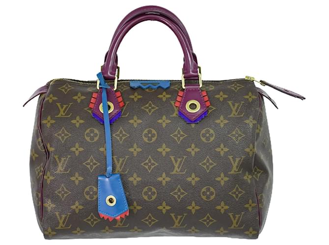 Louis Vuitton Speedy 30 Brown Cloth  ref.1558109