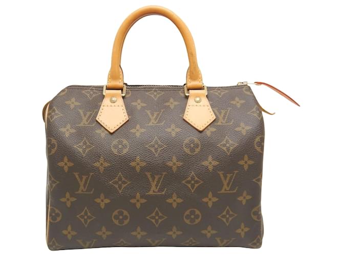 Louis Vuitton Speedy 25 Braun Leinwand  ref.1564539