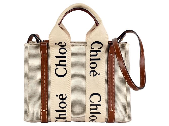 Borsa a spalla piccola Woody di Chloé Marrone Bianco
