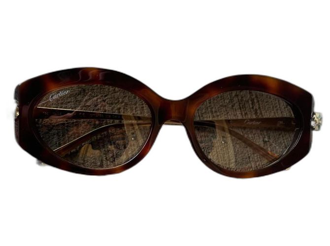 Lunettes de soleil Cartier Havana Or/Marron CT0213S 002 Bijouterie dorée