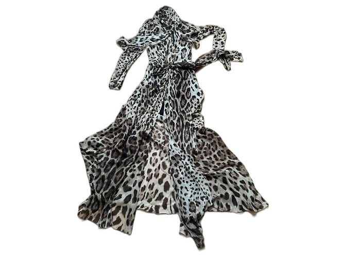 Dolce & Gabbana Vestido largo de seda con estampado de leopardo