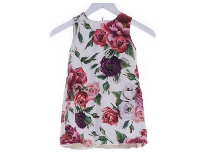 Dolce & Gabbana Dresses Multiple colors Cotton  ref.1682078