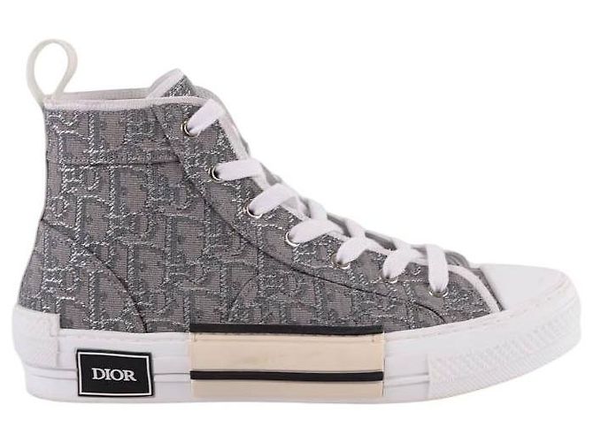 Dior Baskets B23 gris