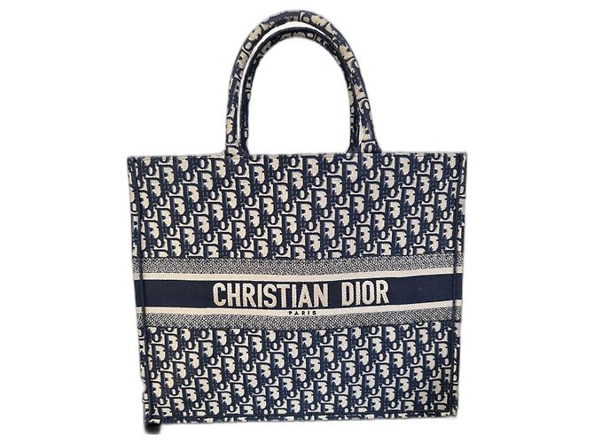 Dior Book Tote Blue Cloth