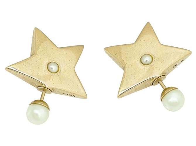 Christian Dior Earrings Gold hardware Steel ref.1766495 Joli Closet