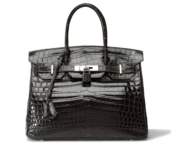 Hermès Sac HERMES Birkin 30 en Cuirs exotiques Gris - 102292  ref.1863428