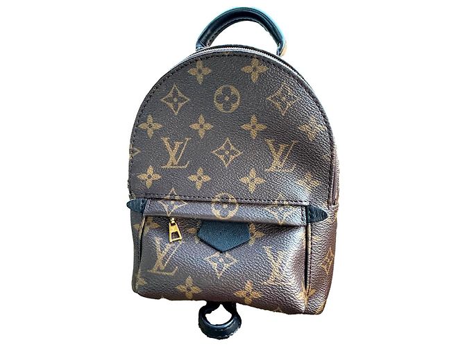 Louis Vuitton Palm Springs Backpack Dark Brown Fur