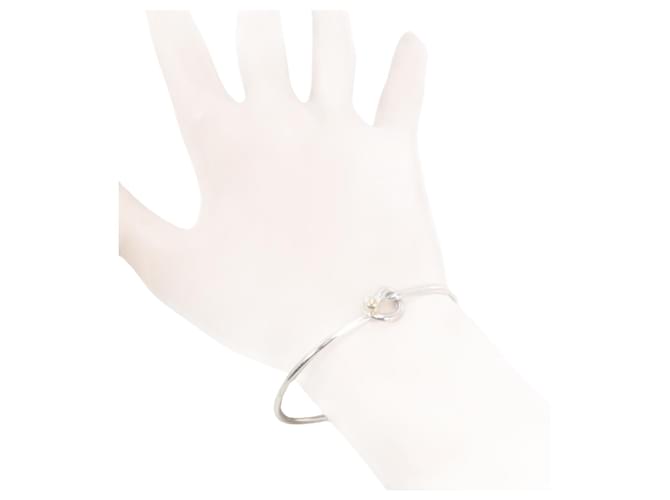 Tiffany & Co Gancho e olho Prata Prata  ref.1879063