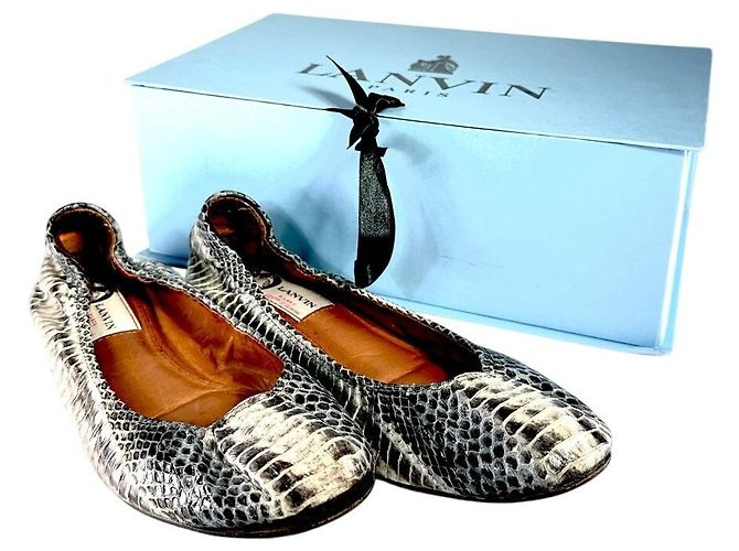 LANVIN Snakeskin Python Embossed Ballet Flats Multiple colors