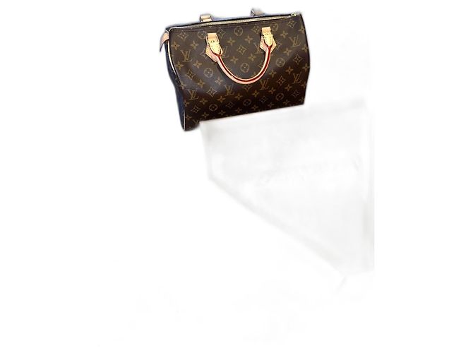 Louis Vuitton Speedy 30 Handtasche braun Leder