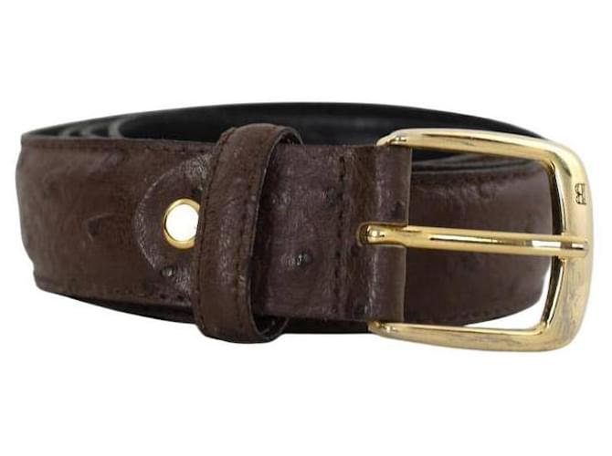 Balmain Leather belt Brown  ref.1932493