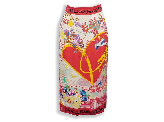 Dolce & Gabbana Gonna lunga in seta Dolce Gabbana Multicolore