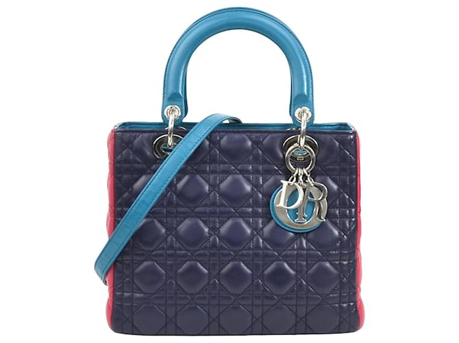 Dior Lady Dior Multiple colors Leather  ref.1933929