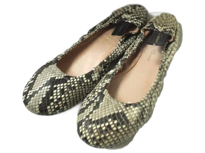 Autre Marque Gianvito Rossi AUDREY Ballettschuhe aus Python
