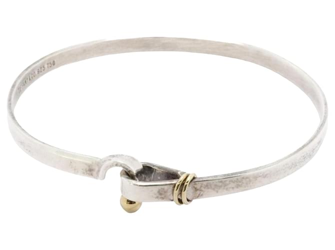Tiffany & Co Gancho e olho Prata Prata  ref.1962276