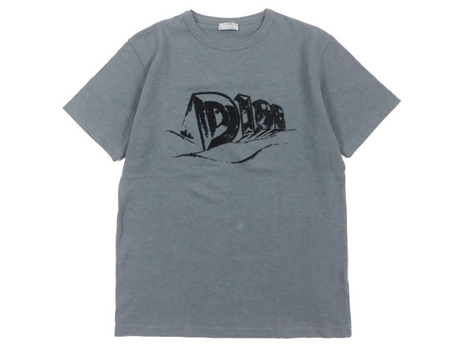 Camiseta de jersey de algodón slub Dior gris S Castaño
