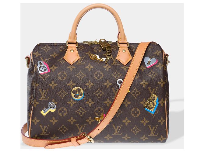 LOUIS VUITTON Speedy Bag in Brown Canvas - 102455