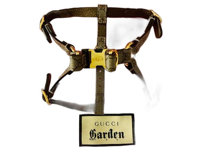 Gucci harness Beige Cloth  ref.2007584